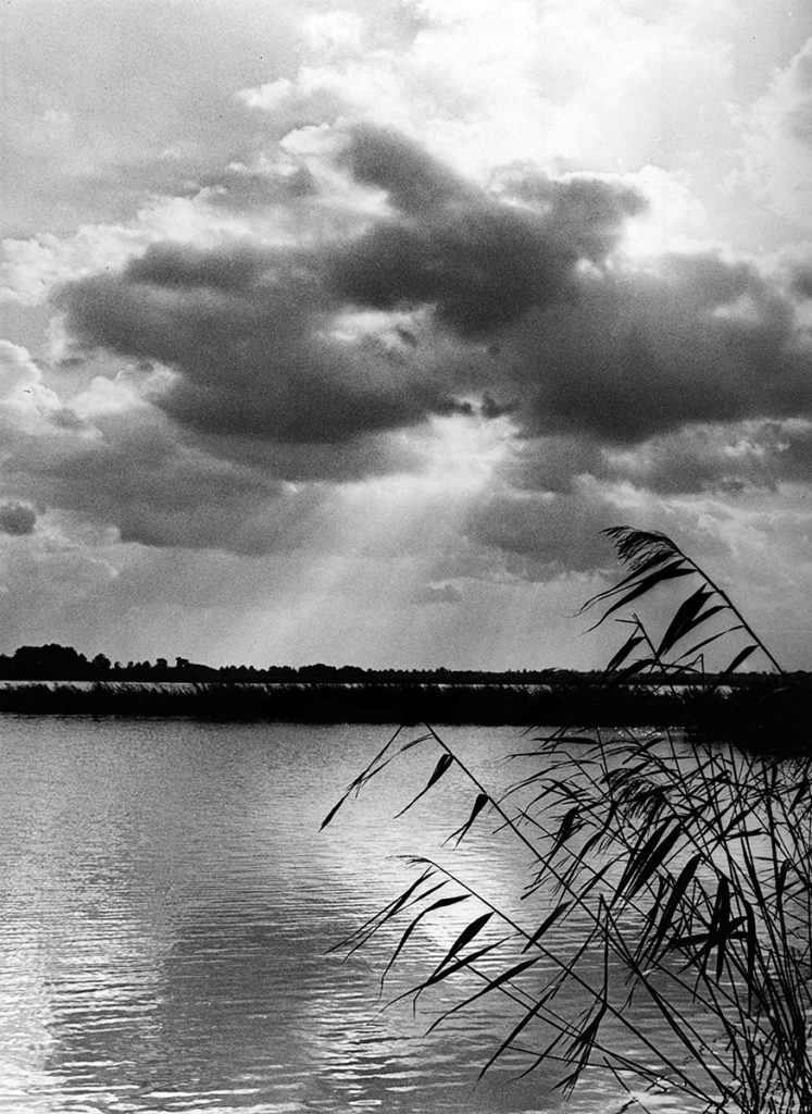 Am Peitzer Teufelsteich – Peitz, Brandenburg, DDR (1965-1969)